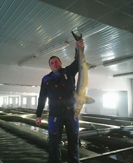 Андрей — фото 16