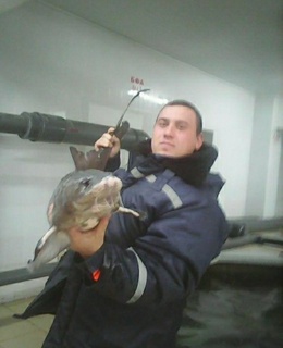 Андрей — фото 4