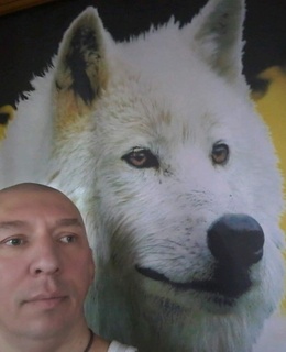 Дима — фото 7